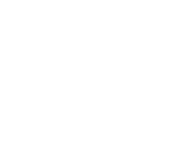 The Pappalardo Law Group PLLC logo